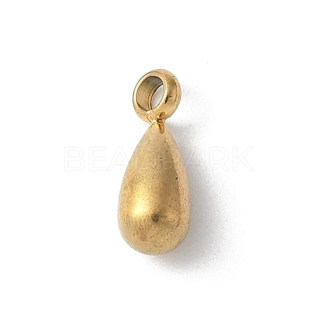 304 Stainless Steel Charms STAS-U046-01E-G-1