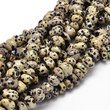 Natural Dalmatian Jasper Gemstone Nuggets Bead Strands X-G-J337-31-1