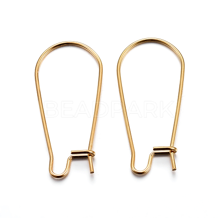 304 Stainless Steel Hoop Earrings X-STAS-P223-01G-01-1