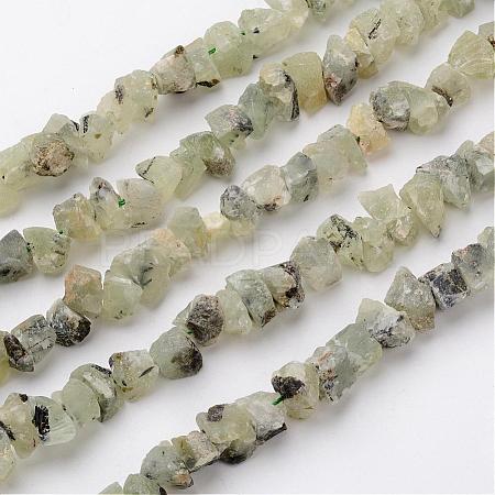 Natural Prehnite Beads Strands G-D832-06-1