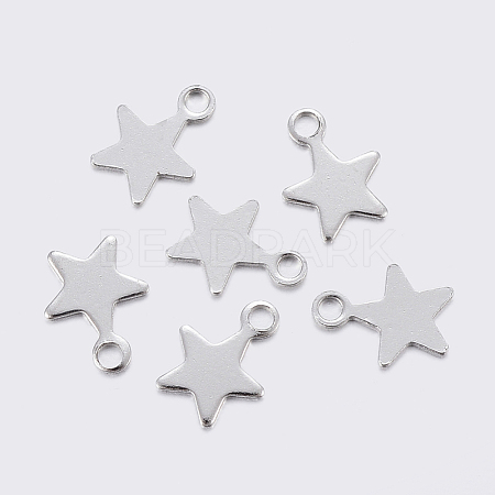 304 Stainless Steel Charms STAS-F159-43P-1