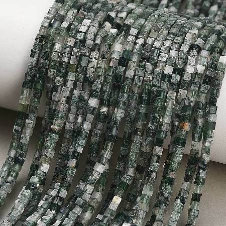 Natural Moss Agate Beads Strands GG-CBA2498-A04-01-1