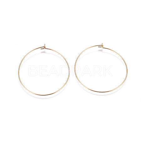 304 Stainless Steel Hoop Earrings Findings X-STAS-F227-54E-G-1