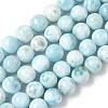 Natural Larimar Beads Strands G-B141-01-10mm-2