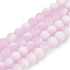 Frosted Crackle Glass Beads Strands GLAA-U001-8mm-M03-1
