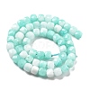 Natural Quartz Imitation Amazonite Beads Strands G-C179-B21-01-3