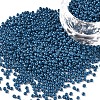 12/0 FGB Grade A Round Glass Seed Beads SEED-N001-A-1013-1