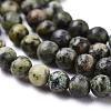 Natural African Turquoise(Jasper) Beads Strands G-N0188-02-3mm-6