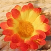 Artificial Silk Chrysanthemum Daisy Flowers Heads DIY-WH0210-03G-1