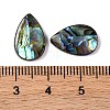 Natural Paua Shell Epoxy Resin Cabochons SSHEL-S279-01E-3