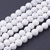 Synthetic Howlite Beads Strands X-G-E110-6mm-5-1