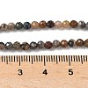 Natural Pietersute Beads Strands G-M449-A01-3mm-5