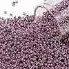 TOHO Round Seed Beads SEED-XTR11-0553-1