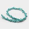 Synthetic Howlite Bead Strand G-P228-16-2