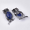 Natural Lapis Lazuli Brooches/Pendants G-S353-05J-2