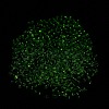 Luminous Glass Seed Beads SEED-A033-07K-5