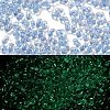 Luminous Glass Seed Beads SEED-A033-07G-1