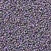 MIYUKI Delica Beads SEED-MY11-DB1065-3