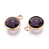 Golden Tone Brass Glass Charms GLAA-ZX008-24A-G-2