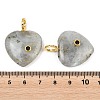 Natural Labradorite Pendants G-D104-01G-10-3