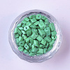 6/0 Baking Paint Glass Seed Beads SEED-S034-A05-2