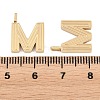 304 Stainless Steel Charms STAS-L022-589M-3