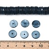 Natural Freshwater Shell Beads Strands SHEL-N037-03A-02-4