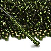 TOHO 6/0 Round Beads X-SEED-TR06-0037-2