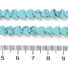 Synthetic Turquoise Beads Strands G-M403-A29-02-5