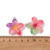 Transparent Resin Pendants RESI-A046-05F-4