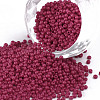 11/0 FGB Grade A Round Glass Seed Beads SEED-N001-A-1058-1