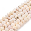 Natural Freshwater Shell Beads Strands SHEL-T011-02-8mm-1