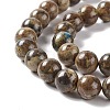 Natural Chrysocolla Beads Strands G-E584-03A-3