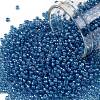 TOHO Round Seed Beads SEED-XTR11-0309-1