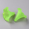 Transparent Acrylic Beads BSF796-C18-3