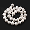 Shell Pearl Beads Strands BSHE-F013-01R-3