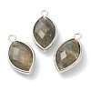 Natural Labradorite Pendants G-B009-01P-G-1