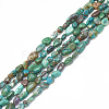 Natural Chrysocolla Beads Strands G-S301-48-1