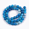 Dyed Natural Agate Beads Strands X-G-T109-12mm-02-2