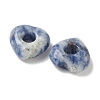 Natural Blue Spot Jasper European Beads G-C252-01B-2