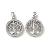 Brass Micro Pave Cubic Zirconia Pendents X-KK-R210-21P-01-1