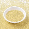 MIYUKI Round Rocailles Beads SEED-X0054-RR0273-2