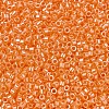 MIYUKI Delica Beads SEED-X0054-DB1563-3