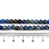 Dyed Natural Regalite/Imperial Jasper/Sea Sediment Jasper Beads Strands G-B124-C04-02-3