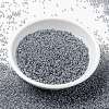 MIYUKI Round Rocailles Beads X-SEED-G009-RR0240-2