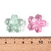 Transparent Acrylic Beads TACR-T030-26M-3