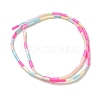 Rainbow Color Dyed Natural Freshwater Shell Beads Strands SHEL-G018-02A-2