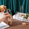 Glass Dome Cover LS-DJEW-WH0099-04A-3