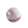 Natural Conch Shells Round Decorations PW-WG89460-01-5