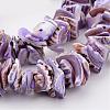 Natural Shell Bead Strands BSHE-P010-01-3